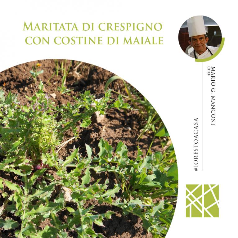 Incoho - Maritata di crespigno con costine di maiale